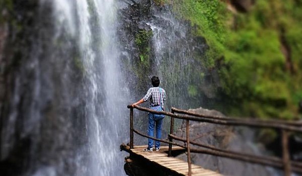 Tour a Honey Puebla - Cascadas Paraíso desde CDMX 2023